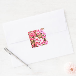 Adesivo Quadrado Padrão de Flor Pêssego – Design Botânico Suave