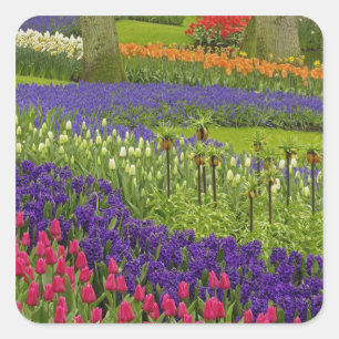 Adesivo Quadrado Padrão de tulipas jacintos e jacintos-de-garrafa