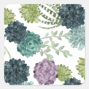 Adesivo Quadrado Padrão Suculento de Coleta de Felicidade de Plant