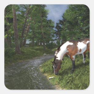 Adesivo Quadrado Paint Horse por Forest Stream