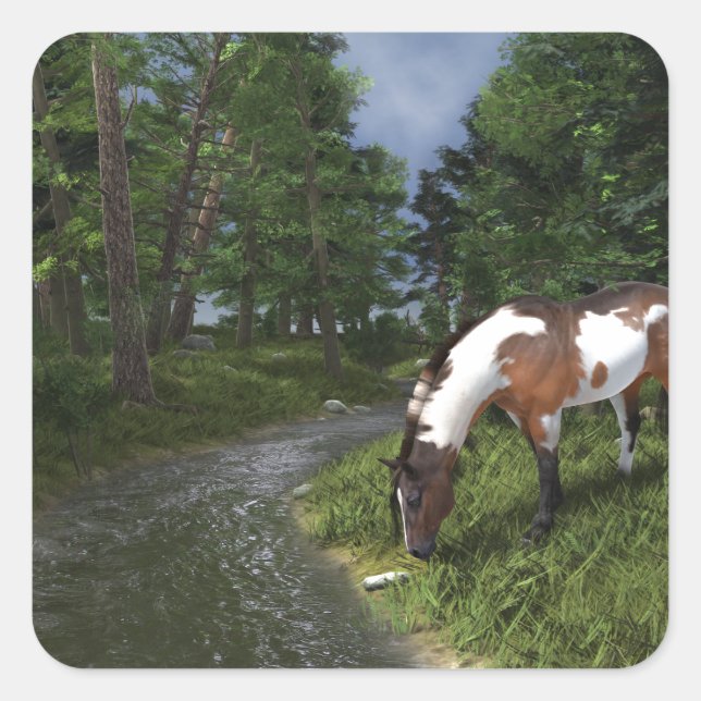 Adesivo Quadrado Paint Horse por Forest Stream (Frente)