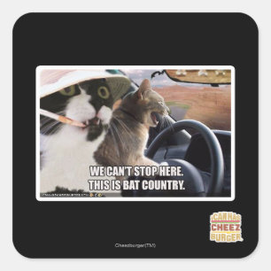Adesivo Quadrado País do Bat