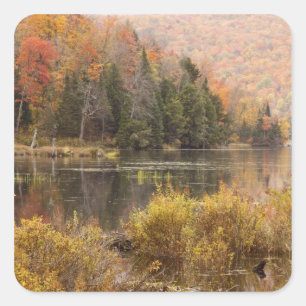 Adesivo Quadrado Paisagem de outono com lago, Vermont, EUA 3