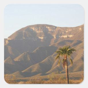 Adesivo Quadrado Paisagem de rancho desértico perto de Monterey, Mé
