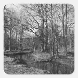 Adesivo Quadrado Paisagem do Parque - Parque Bute, Cardiff
