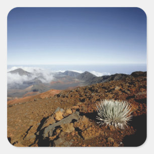 Adesivo Quadrado Palavra-de-prata sobre a cratera de Haleakala