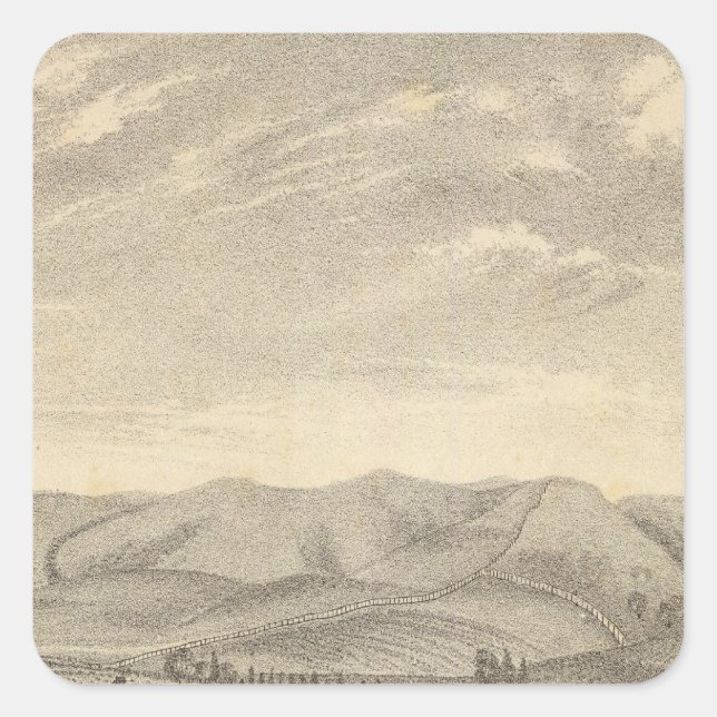 Adesivo Quadrado Palmer res, vinha (Frente)