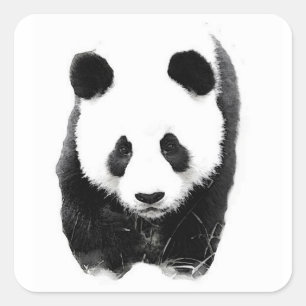 Adesivo Quadrado Panda Square Sticker