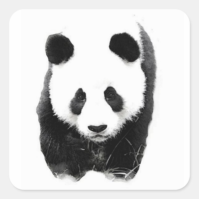 Adesivo Quadrado Panda Square Sticker (Frente)