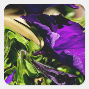 Adesivo Quadrado Pânico Roxo