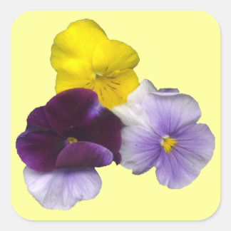 Adesivo Quadrado Pansies Stickers