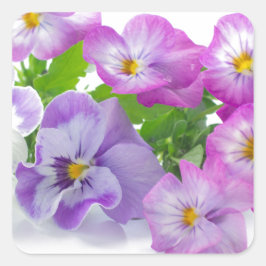 Adesivo Quadrado pansy