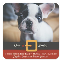 Papais noeis de Natal Engraçados Cachorros Mais Ca