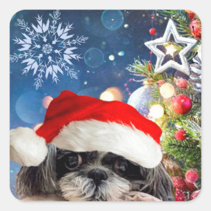 Adesivo Quadrado Papais noeis Shih Tzu Garotas