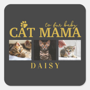 Adesivo Quadrado para o bebê de pelo mamãe gato personalizado colag