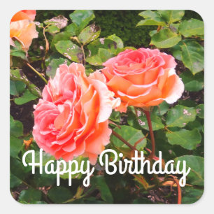 Adesivo Quadrado Parabéns Banda de aniversário de Rosa de marca n