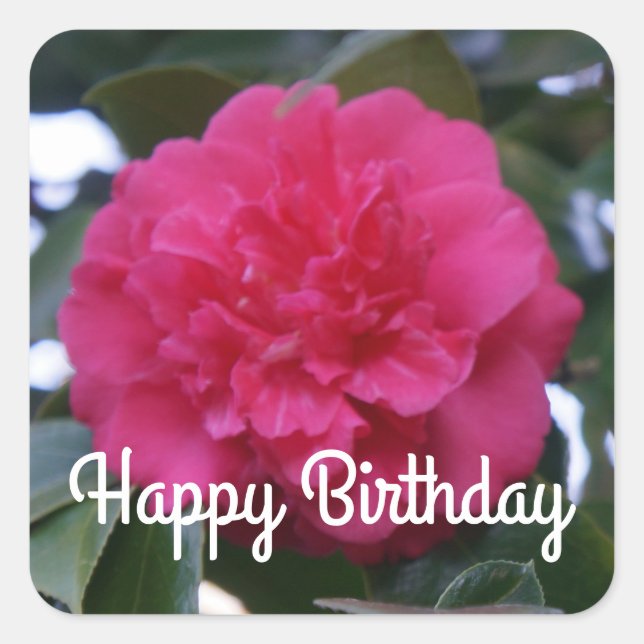 Adesivo Quadrado Parabéns Daikagura Red Camellia Stickers (Frente)