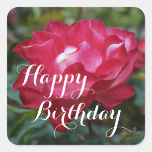 Adesivo Quadrado Parfait Cerejeira Feliz de Aniversário #2 Stickers