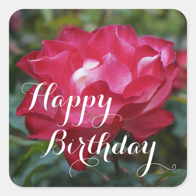 Adesivo Quadrado Parfait Cerejeira Feliz de Aniversário #2 Stickers (Frente)