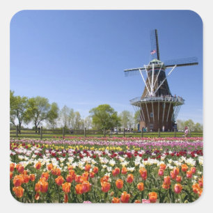 Adesivo Quadrado parque da Ilha do Moinho de Vento com tulipas em f