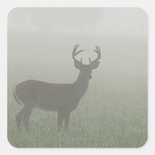 Adesivo Quadrado Parque Nacional das Montanhas do Enfumaçado excele (Frente)