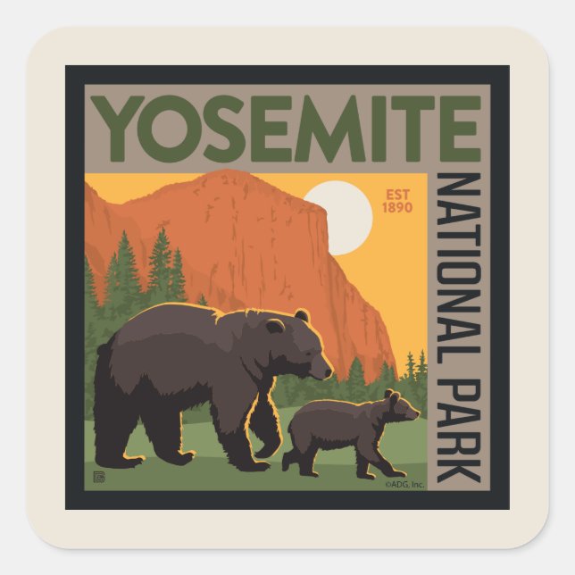 Adesivo Quadrado Parque Nacional Yosemite | Família Bear (Frente)