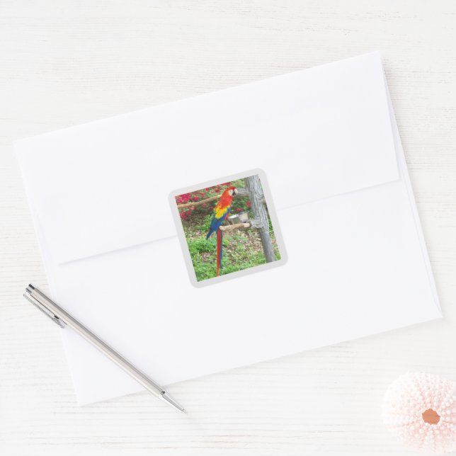 Adesivo Quadrado Parrot Sticker (Envelope)