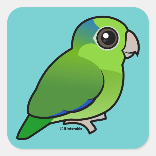 Adesivo Quadrado Parrotlet Pacífico Verde (Frente)
