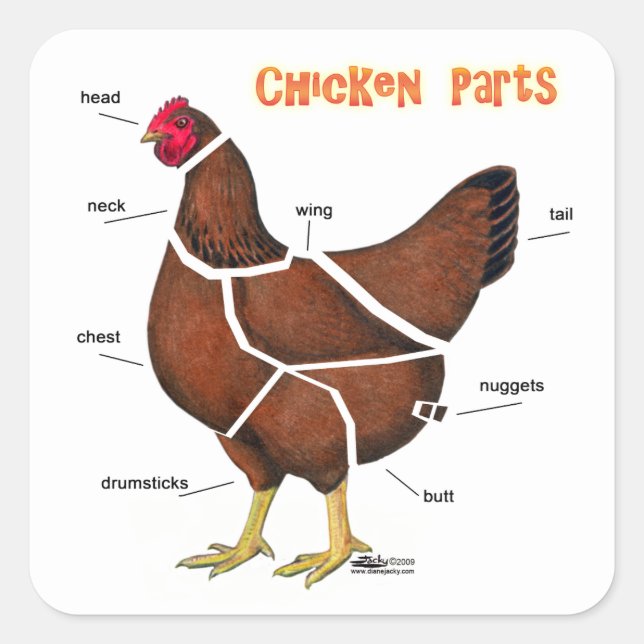 Adesivo Quadrado Partes de Frango (Frente)