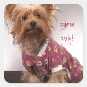 Adesivo Quadrado Partido de pijama de Yorkie