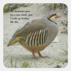 Adesivo Quadrado Partridge Chukar