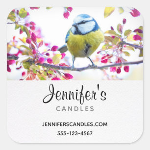 Adesivo Quadrado Pássaro Azul e Amarelo bonito em uma filial