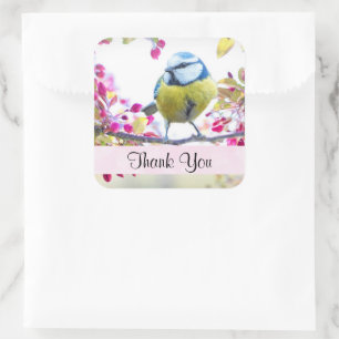 Adesivo Quadrado Pássaro Azul e Amarelo bonito em uma ramificaçã