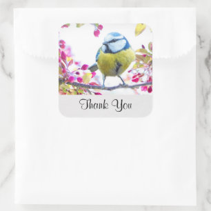 Adesivo Quadrado Pássaro Azul e Amarelo bonito em uma ramificaçã