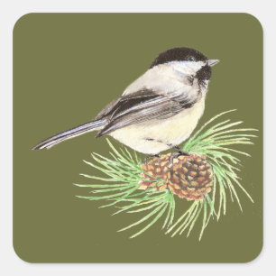 Adesivo Quadrado Pássaro bonito do Chickadee, natureza, animais