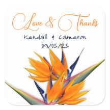 Pássaro do Casamento das Flores do Paraíso Obrigad