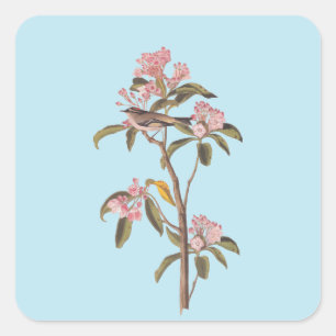 Adesivo Quadrado Pássaro-do-rei Cuvier de Audubon em Calico Rosa