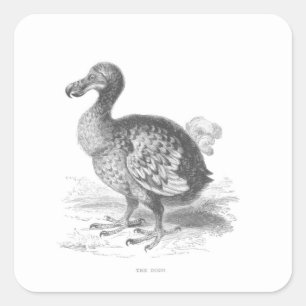 Adesivo Quadrado Pássaro Dodo