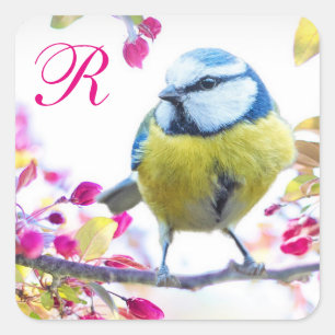 Adesivo Quadrado Pássaro e monograma das flores do rosa