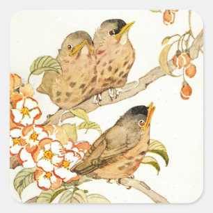 Adesivo Quadrado Pássaros Bebês e Flores de Maçã Vintage