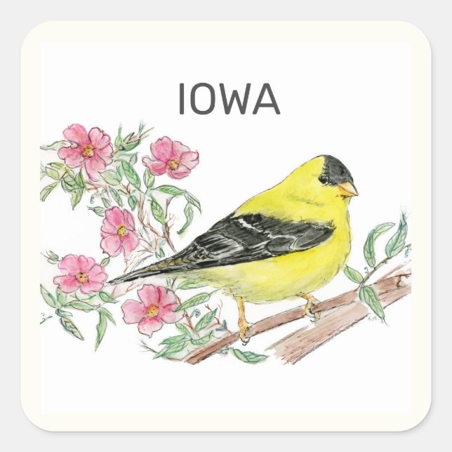 Adesivo Quadrado Pássaros e flores do Estado de Iowa (Frente)