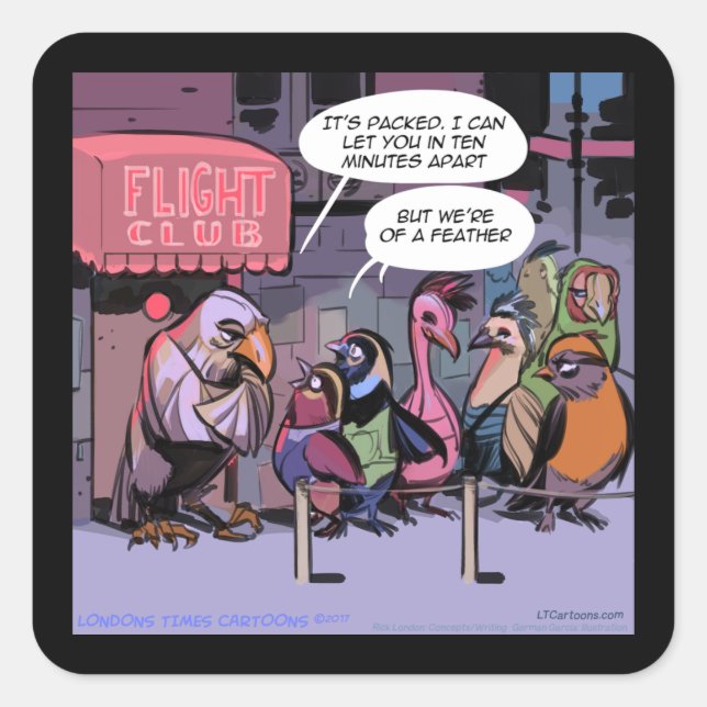 Adesivo Quadrado Pássaros Engraçados De Uma Pena (Frente)