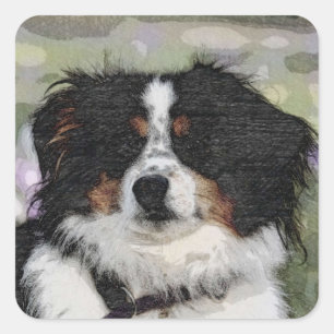 Adesivo Quadrado Pastor australiano Pet, Cão