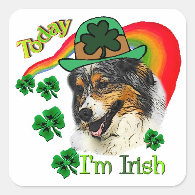 Adesivo Quadrado Pastor australiano St Patricks (Frente)