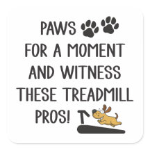 Patas e Testemunhas Estes Prós de Esteira