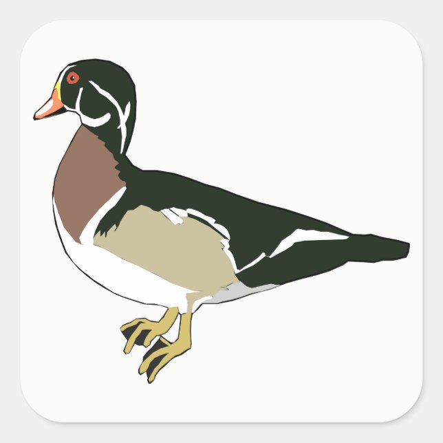 Adesivo Quadrado Pato (Frente)