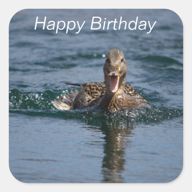 Adesivo Quadrado Pato com bico aberto (Frente)