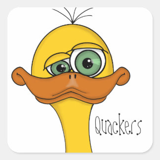 Adesivo Quadrado Pato de Cartoon Engraçado