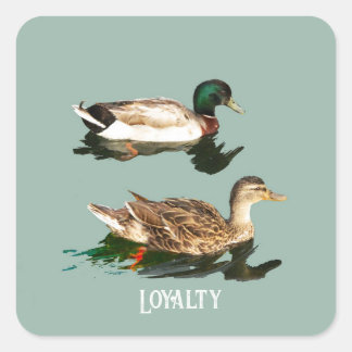 Adesivo Quadrado Patos-de-pata