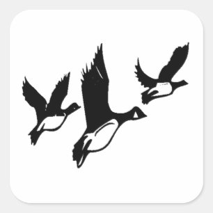 Adesivo Quadrado Patos voadores